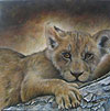 Curious Cub painted by Wendy Palmer