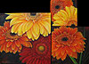 Gerber Daisies painted by Wendy Palmer<br>
  				Acrylic on Canvas Original  ~ set of 3 pieces ~ 8 inch x 8 inch, 6 inch x 6 inch, 4 inch x 4 inch<br>
                ORIGINAL SOLD !<br>
                Now Available as<br>
                Limited Edition Giclée on Canvas Reproduction:<br>
                Set of three canvasses 8 inch x 8 inch, 6 inch x 6 inch and 4 inch x 4 inch ~ $350.00 plus stretching and framing
