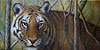 Silent Pursuit painted by Wendy Palmer<br>
  				Acrylic on Canvas Original ~ 10 inch x 20 inch<br>
                ORIGINAL SOLD !<br>
                Now Available as<br>
                Limited Edition Giclée on Canvas Reproduction: 10 inch x 20 inch ~ $240.00 plus stretching and framing