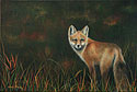 Ayla's Fox painted by Wendy Palmer<br>
  				Acrylic on Canvas Original ~ 10 inch x 15 inch<br>
                ORIGINAL SOLD !<br>
  				Prints Currently Unavailable.