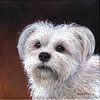 Bear painted by Wendy Palmer.<br>
				Acrylic on Canvas Original - 8 inch x 8 inch. ORIGINAL SOLD!<br>
				Prints Currently Unavailable.