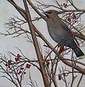 Bohemian Waxwing painted by Wendy Palmer<br>
				Acrylic on Canvas ~ 6 inch x 6 inch x 3 inch<br>
                ORIGINAL SOLD !<br>
				No reproductions available.