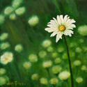 Daisy painted by Wendy Palmer<br>
				Acrylic on Board ~ 4 inch x 4 inch<br>
                ORIGINAL SOLD !<br>
				No reproductions available.