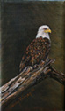 The Eagle Perch painted by Wendy Palmer<br>
  				Acrylic on Canvas Original ~ 3 inch x 5 inch<br>
                ORIGINAL SOLD !<br>
  				Prints Currently Unavailable.