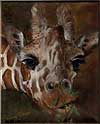 Giraffe painted by Wendy Palmer<br>
  				Acrylic on Canvas Original ~ 8 inch x 10 inch<br>
                ORIGINAL SOLD !<br>
  				Prints Currently Unavailable.