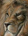 Okonko painted by Wendy Palmer.<br>
				Acrylic on Canvas Original - 8 inch x 10 inch. ORIGINAL SOLD!<br>
				Prints Currently Unavailable.